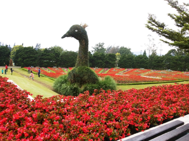 Paket Wisata Bogor Taman Bunga Nusantara Kebun Raya