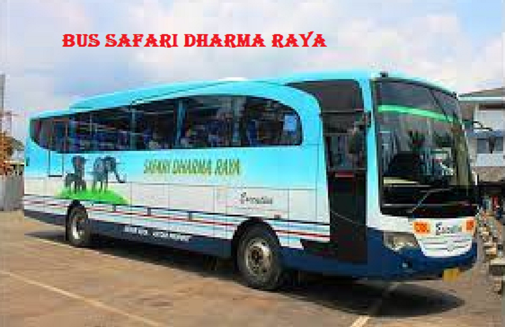 agen bus safari dharma raya yogyakarta